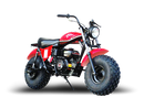 TrailMaster MB200-2 Mini Bike