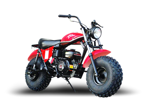 TrailMaster MB200-2 Mini Bike