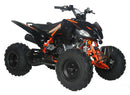 DISPLAY UNIT SALE: Vitacci Pentora 200cc EFI ATV