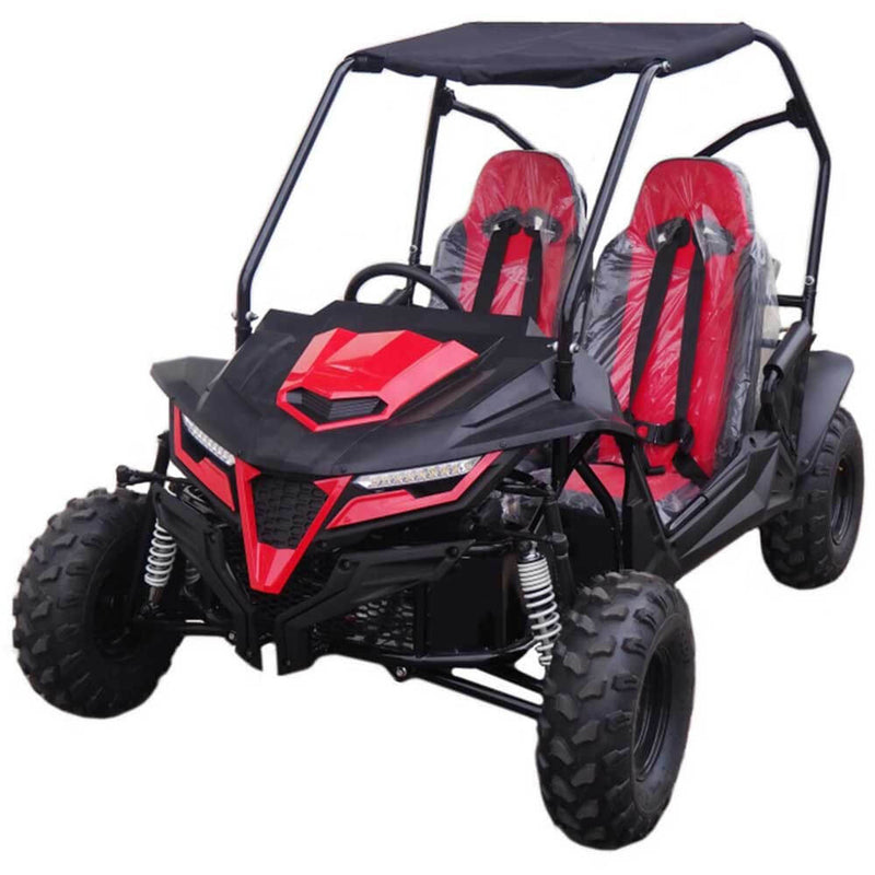 Cheetah 8 Go-Kart